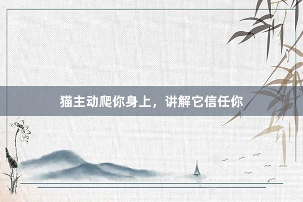 猫主动爬你身上，讲解它信任你