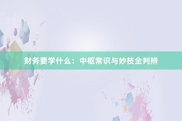 财务要学什么：中枢常识与妙技全判辨