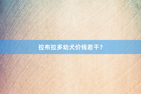 拉布拉多幼犬价钱若干？